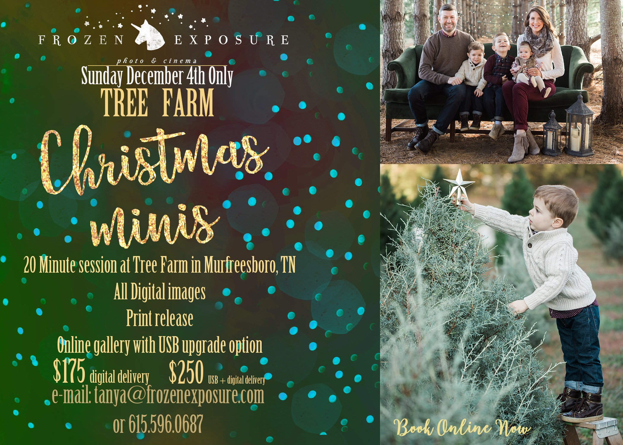 cristmas_minis_fe-tree-farm